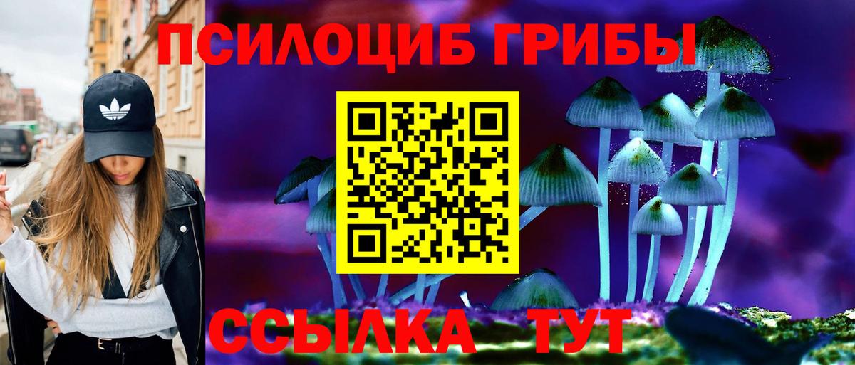 Галлюциногенные грибы Cubensis  Вход с VPN  как найти закладки  Когалым 